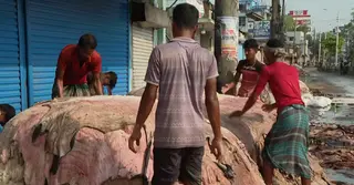 সম্ভাবনা সত্ত্বেও চট্টগ্রামে চামড়া সংগ্রহে ধস; জাতীয় সম্পদ রক্ষায় কার্যকর উদ্যোগের দাবি